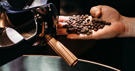 Hand Holding Roasted Coffee Beans