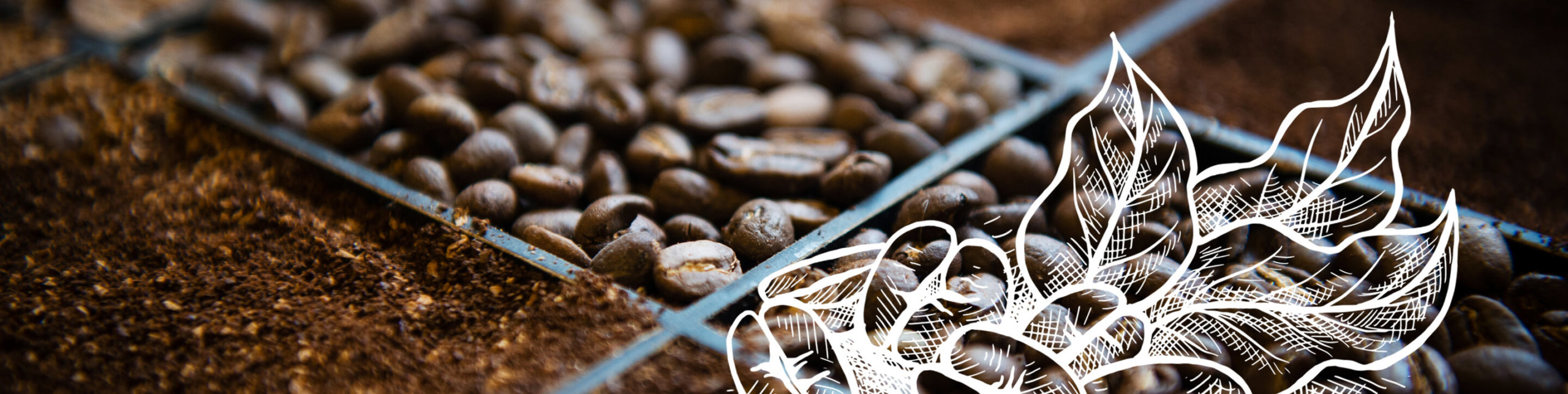 Roasted and Ground Coffee Beans