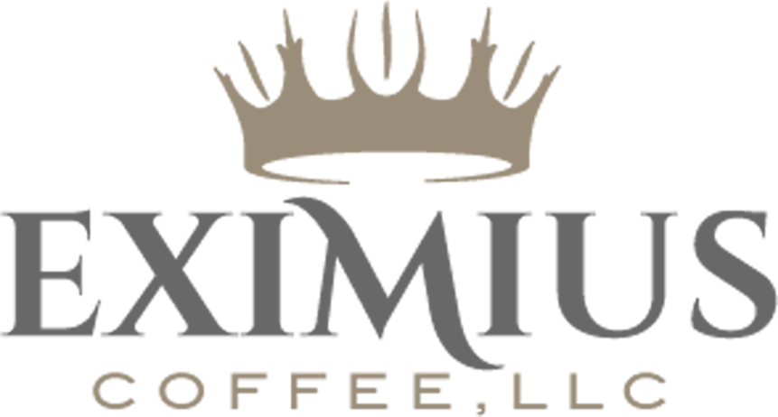 Home Banner Eximius Logo