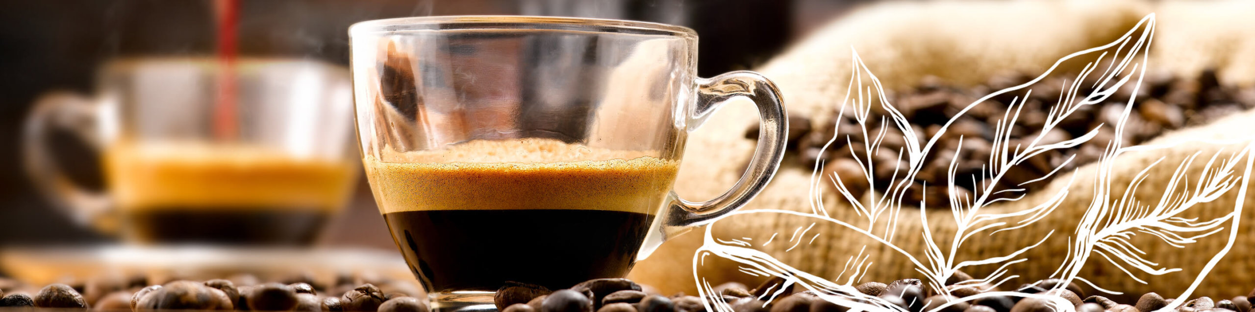 A Cup of Coffee on Coffee Beans