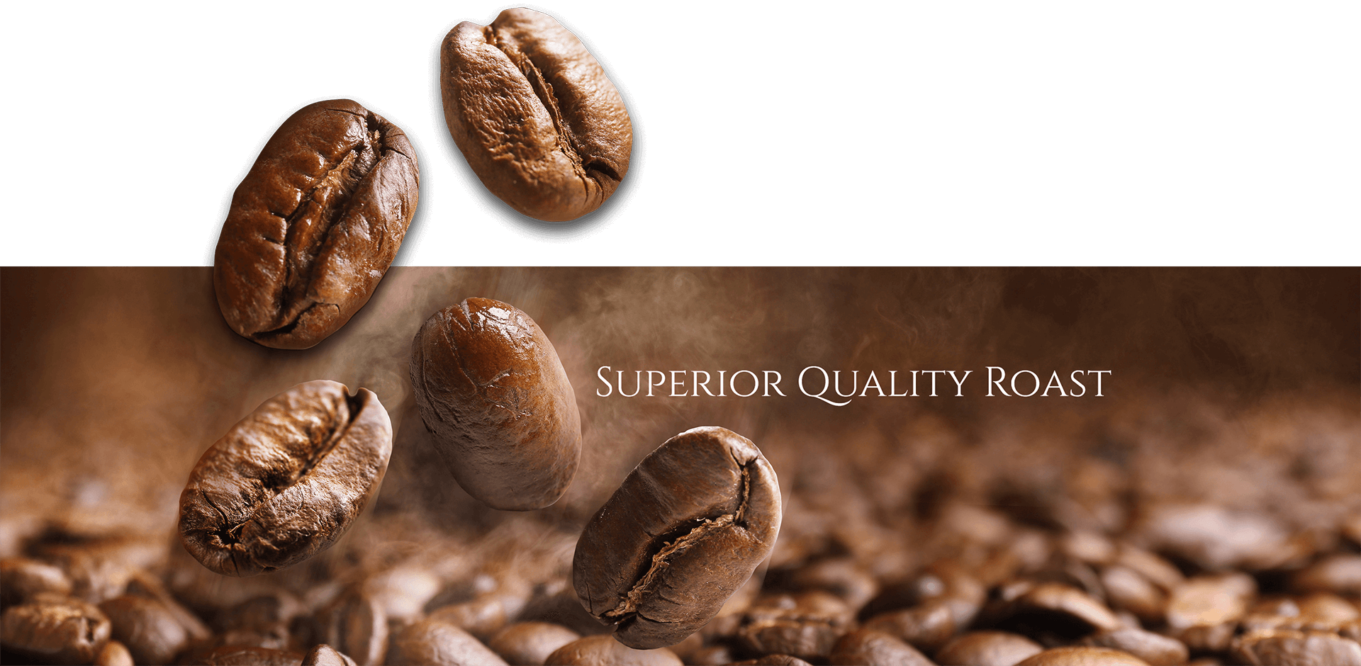 Close Up Image of Roasted Coffee Beans